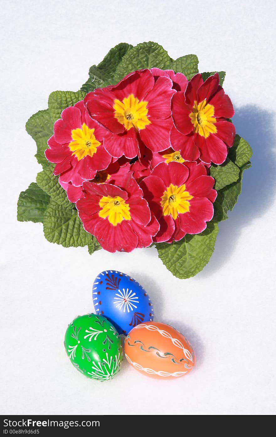 Easter Eggs in the snow. Easter Eggs in the snow