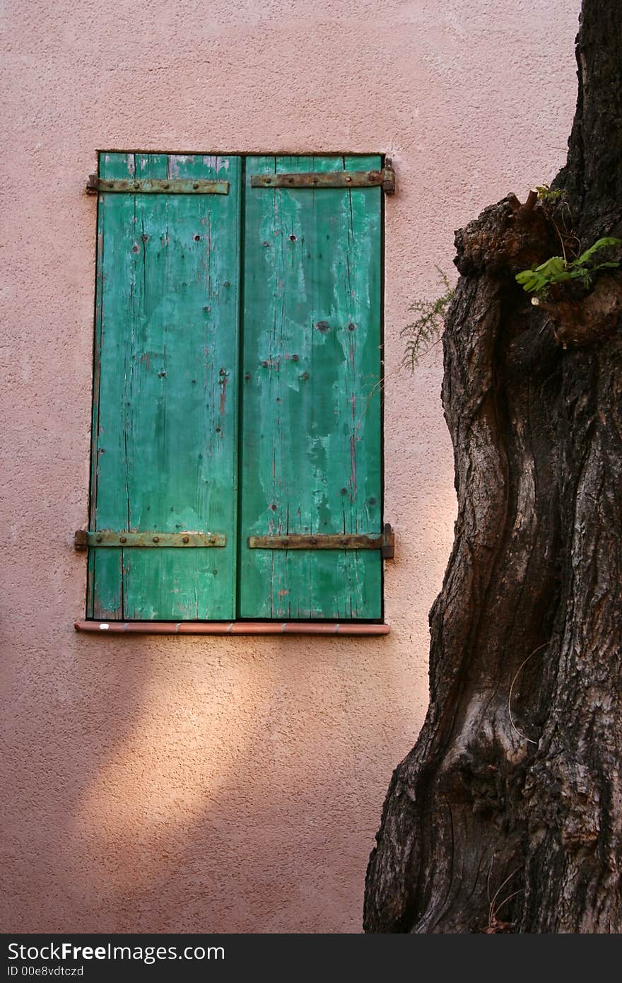 Green Window