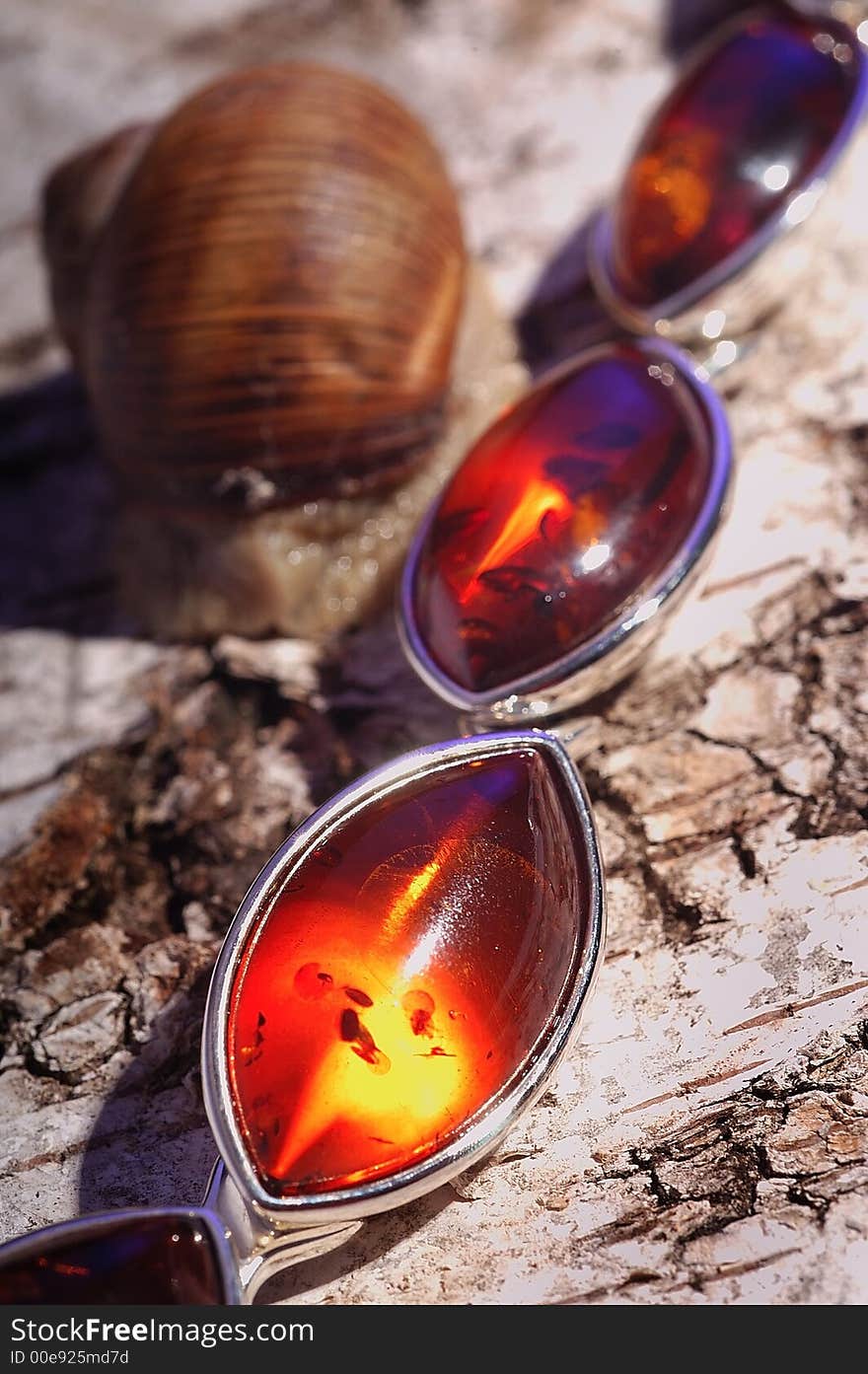 An amber bracelet on tree's bark  from Poland,  Close up