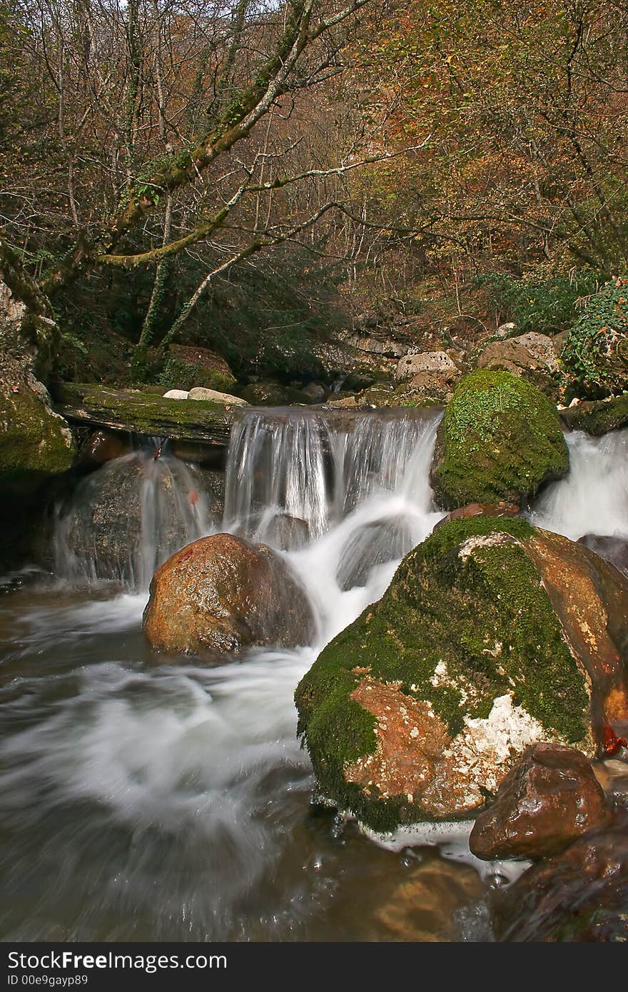 Cascade in the medium of nature. Cascade in the medium of nature