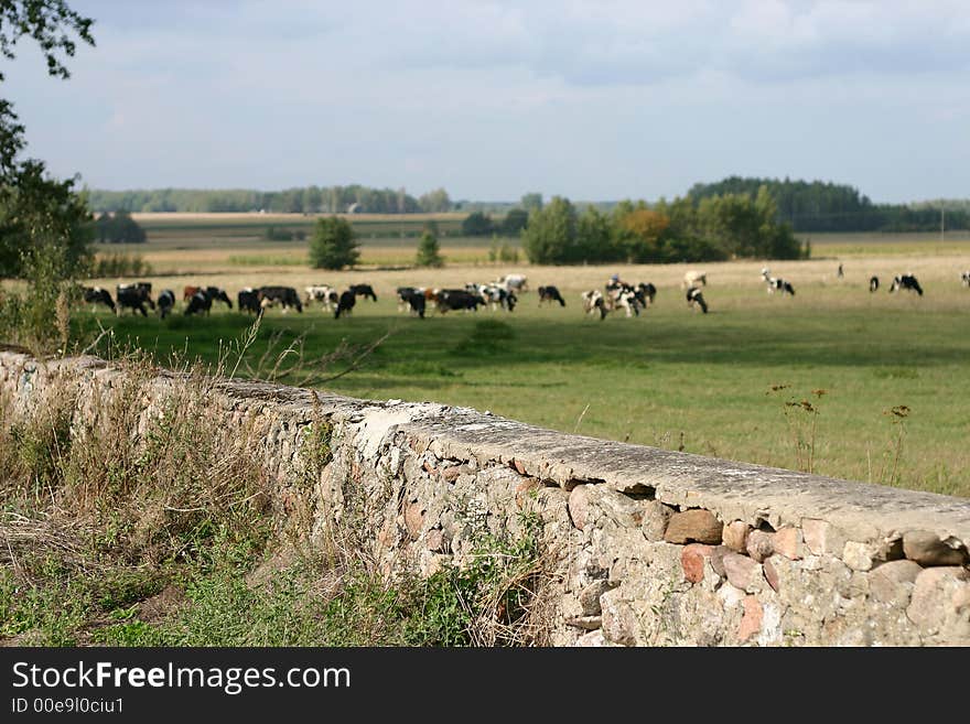 Typical agriculture landscape on lowland Mazowsze (Poland)