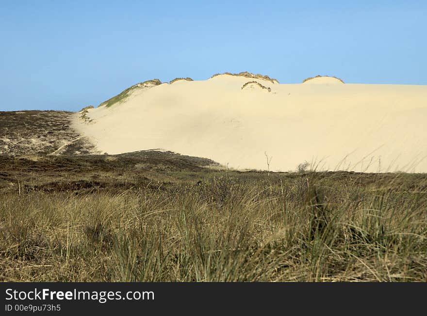 Dunescape Sylt 1