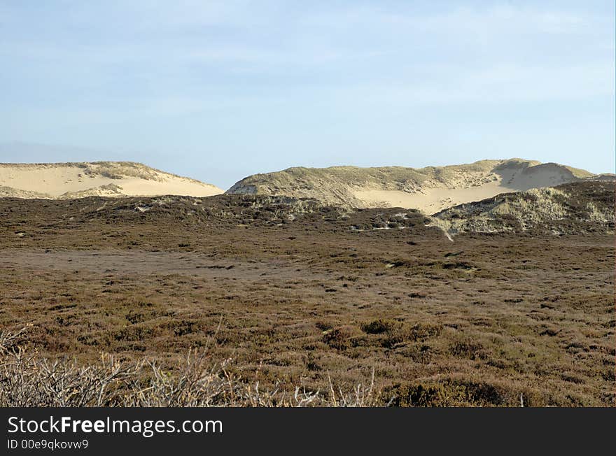 Dunescape Sylt 4