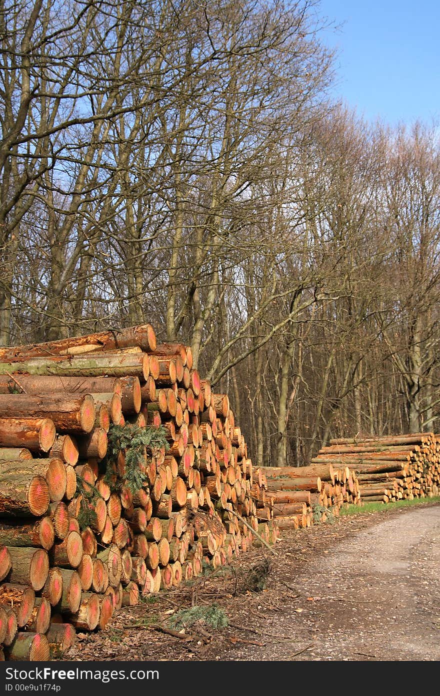 Man-made stack of logs