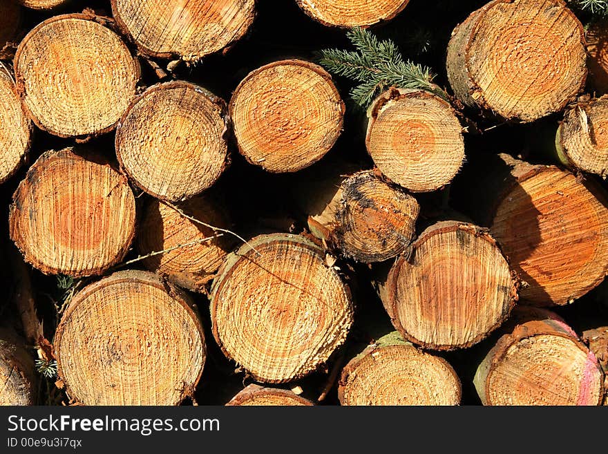 Man-made stack of logs