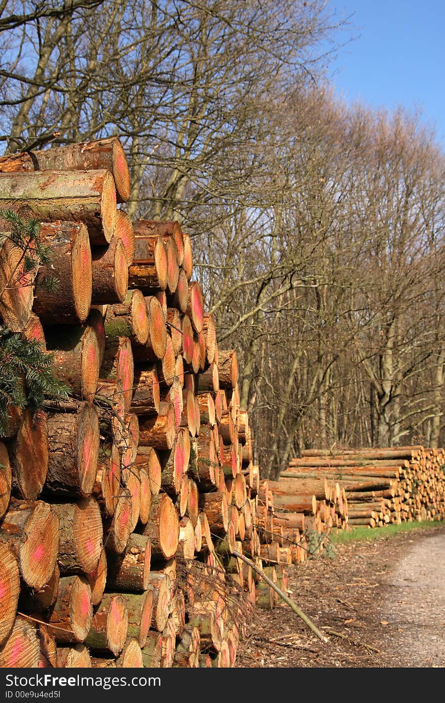 Stack of logs