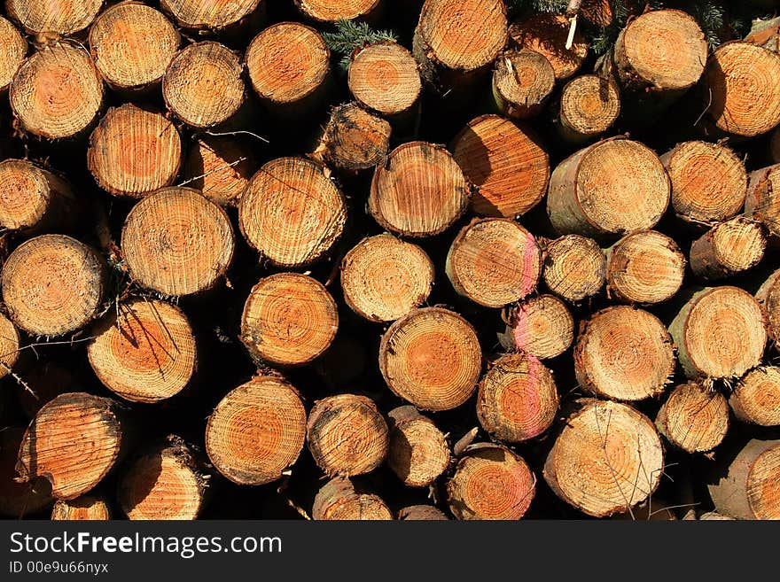 Stack Of Logs