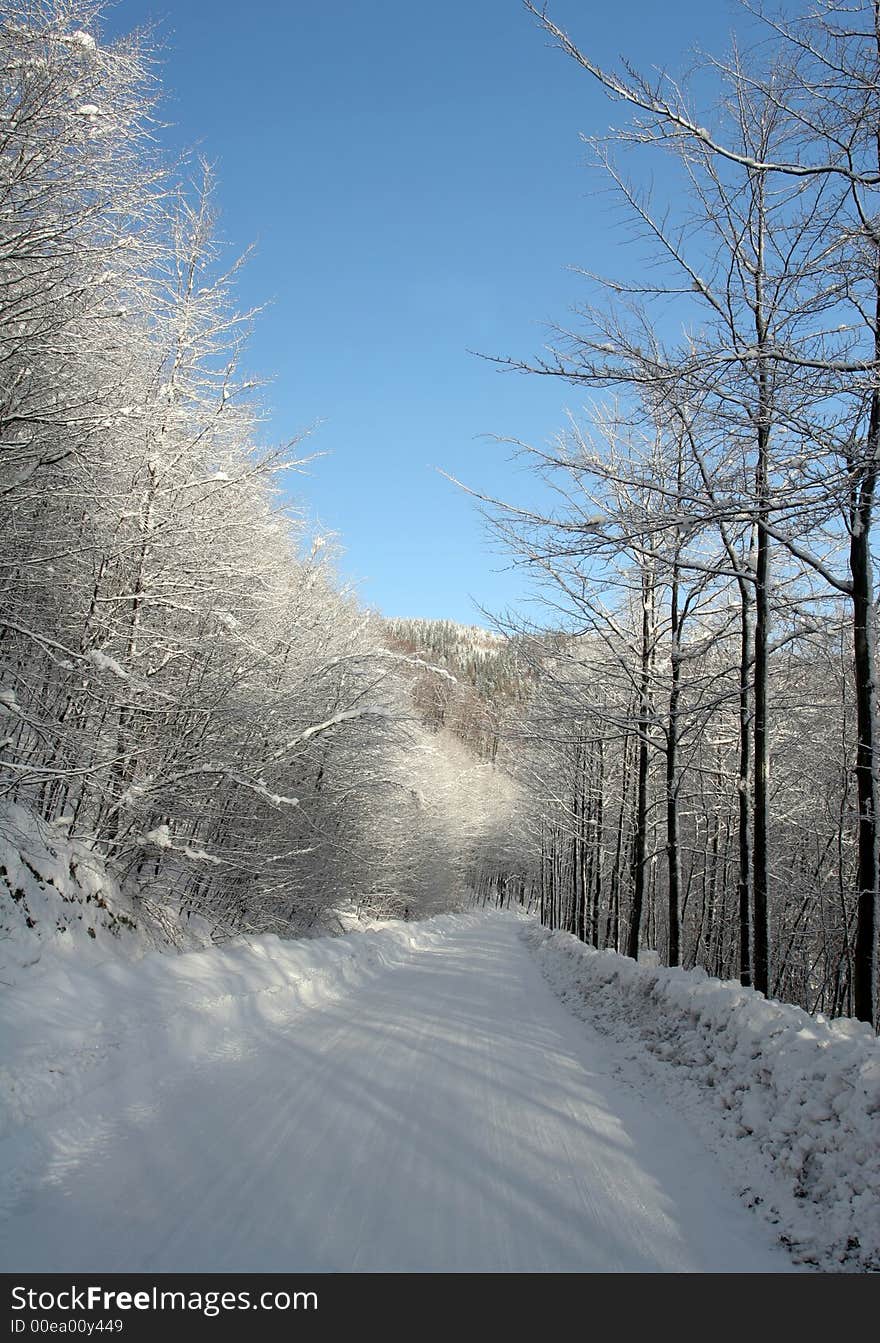 Mountains and trees in the white snow