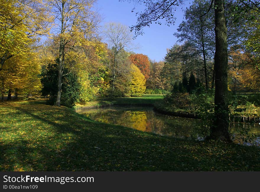 Little lake in the park