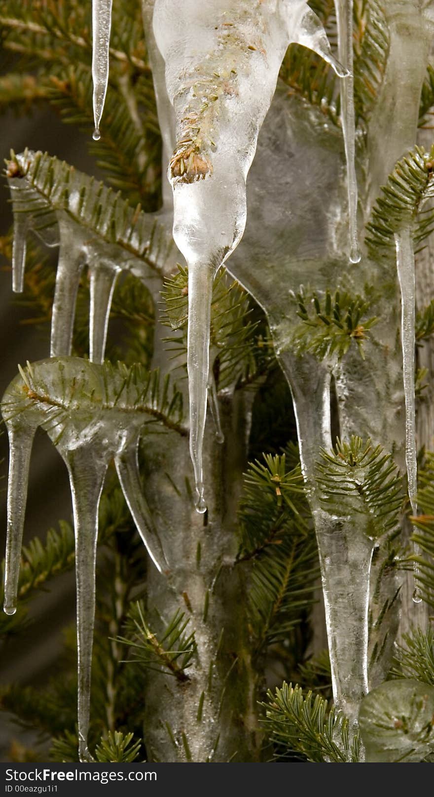 Ice Decoration