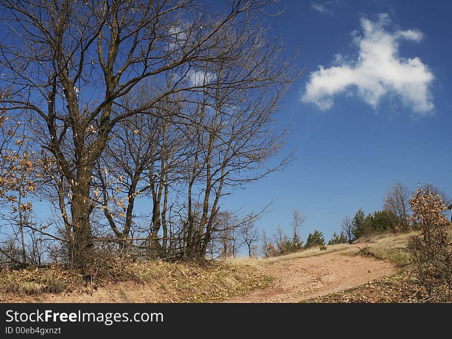 Early spring with blue sky. Early spring with blue sky