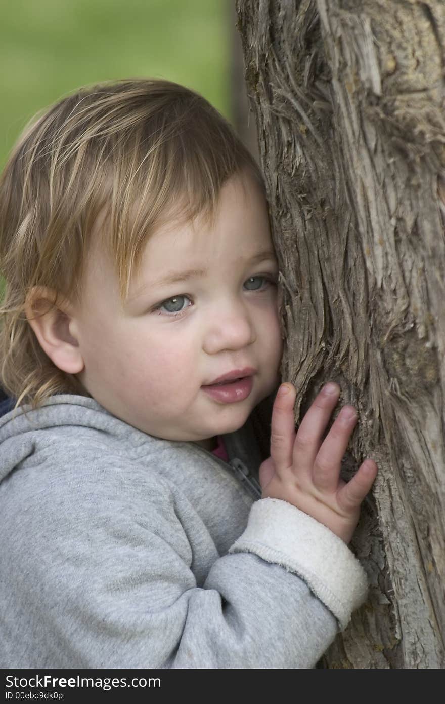 19 months old looking down in shyness. 19 months old looking down in shyness.