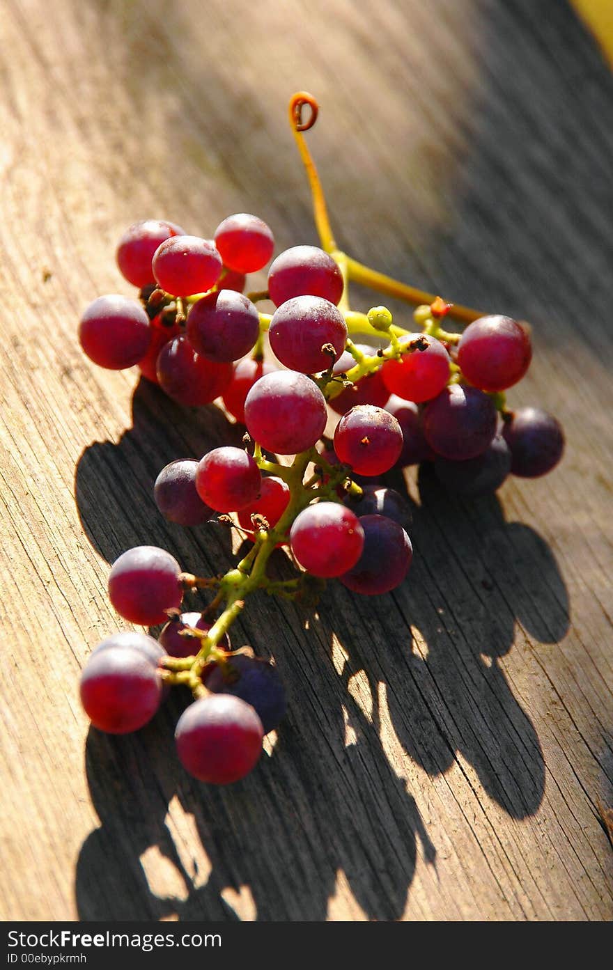 Bunch of grapes on wooden background