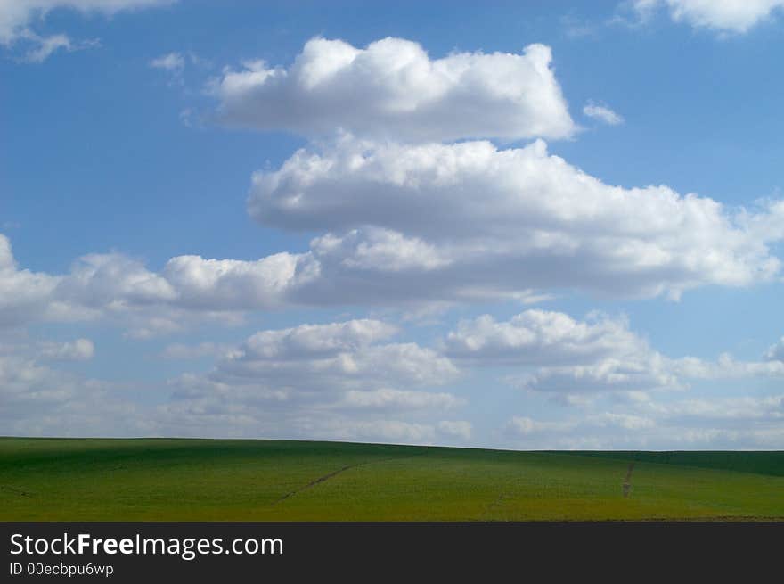 Green grass and sky