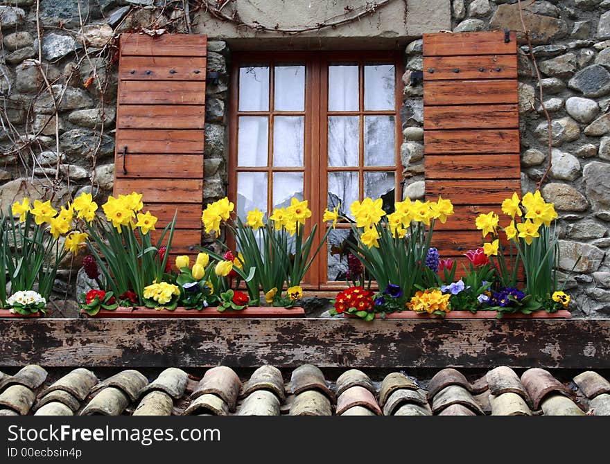 A Mini Garden by the Window. A Mini Garden by the Window.