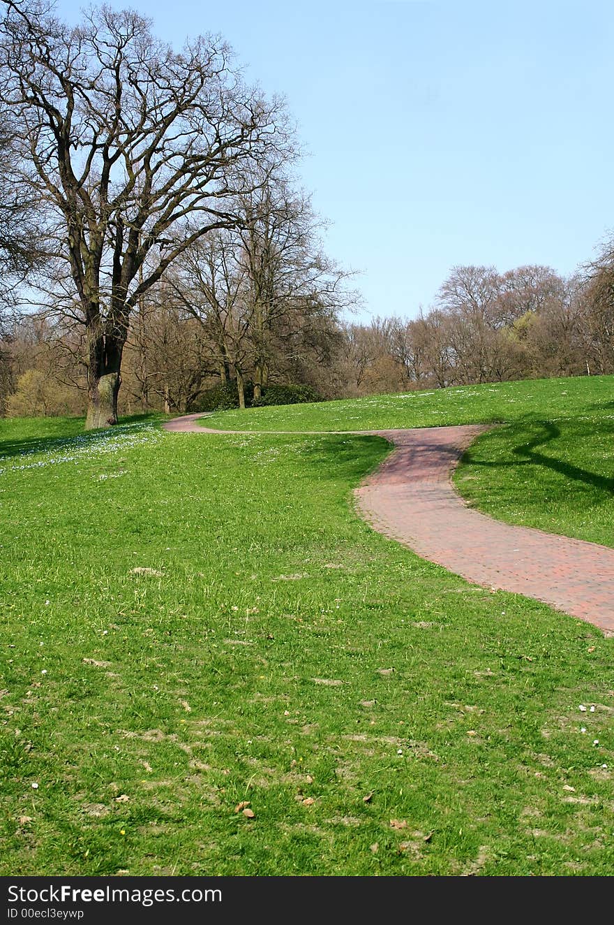 Walkway On Green Meadow