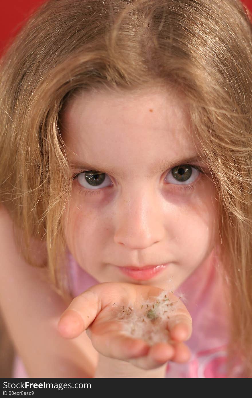 Shot of a little girl blowing flowers upclose