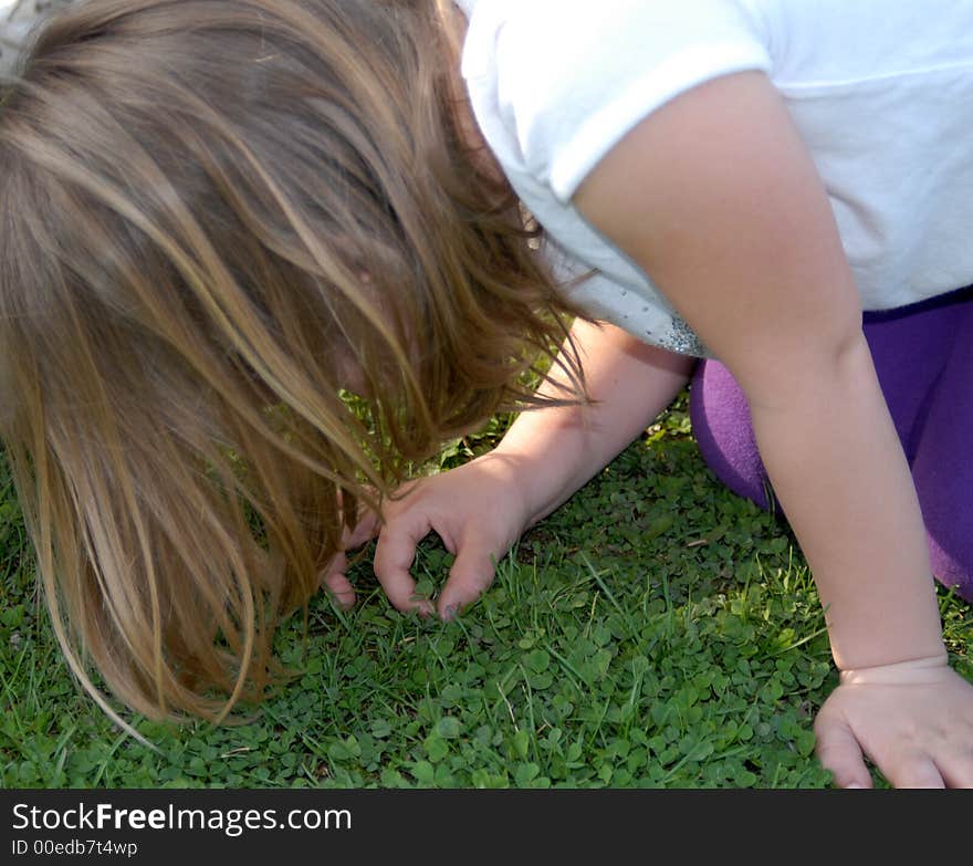 Young Girl Searching for Four Leaf Clovers. Young Girl Searching for Four Leaf Clovers