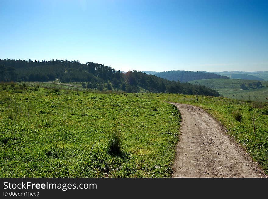 A gravel lane leading to the forest. A gravel lane leading to the forest.