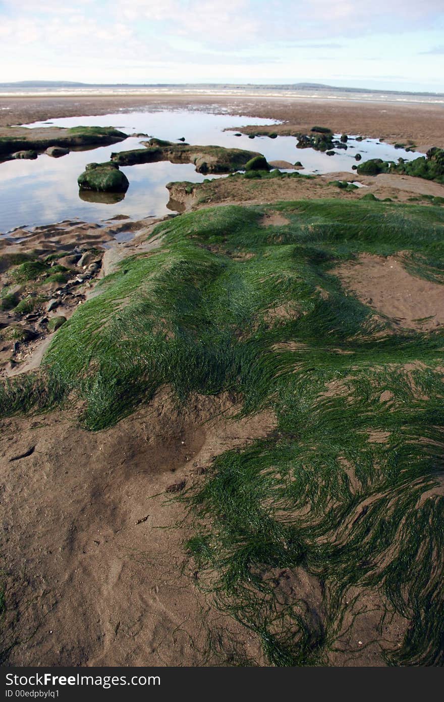 Irish beach on a slimy day. Irish beach on a slimy day