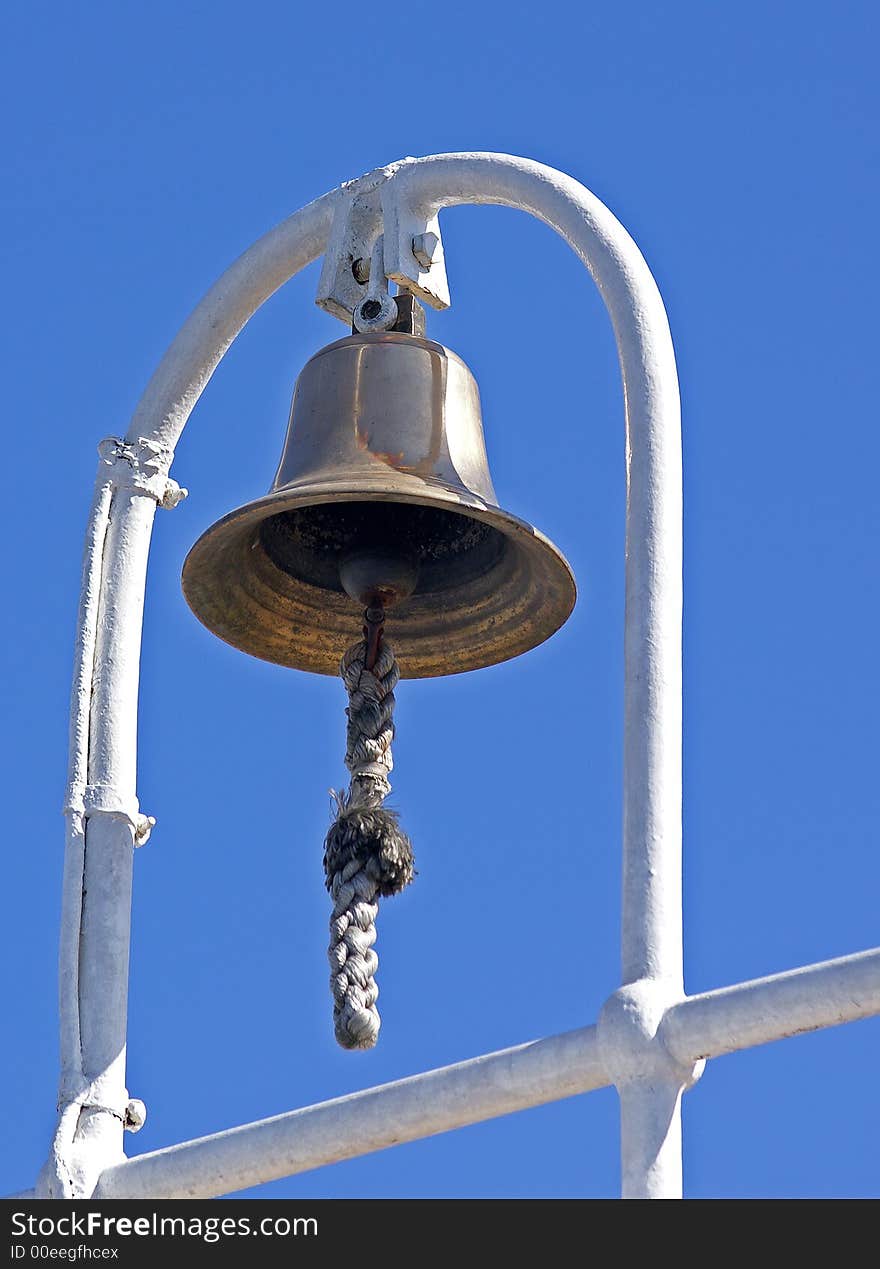 Sea bell on a background of the dark blue sky