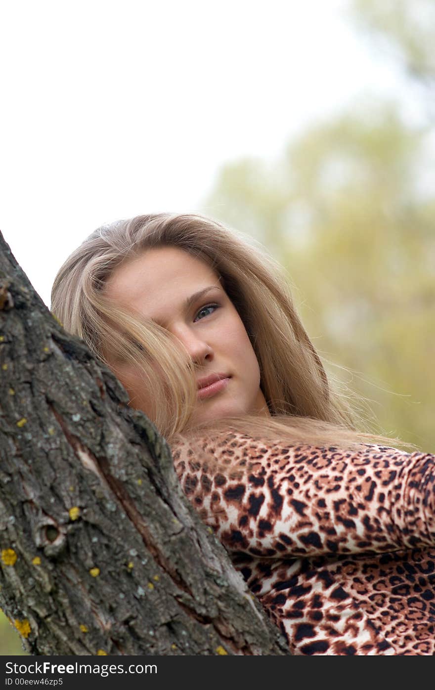 The Girl And The Tree.