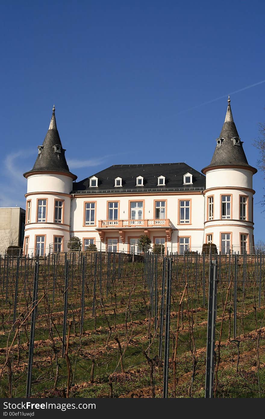 Vine-growing estate in the Rhine Valley, Germany