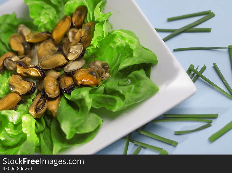 Shells with salad and green onion on the blue background