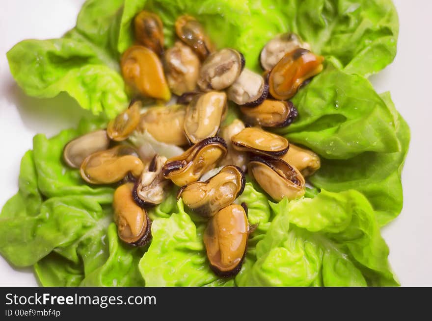 Shells with salad