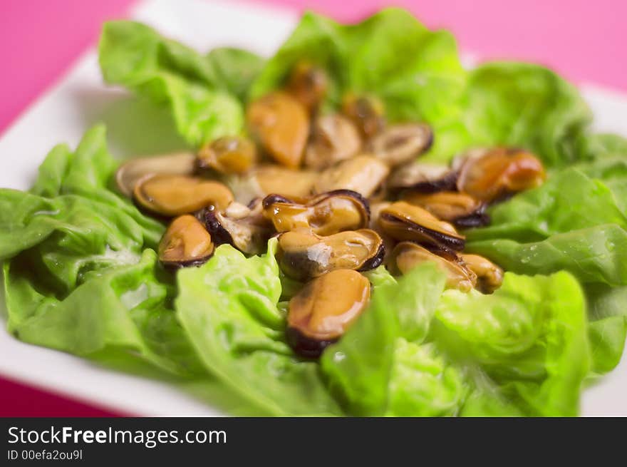 Shells with salad and green onion on the pink background