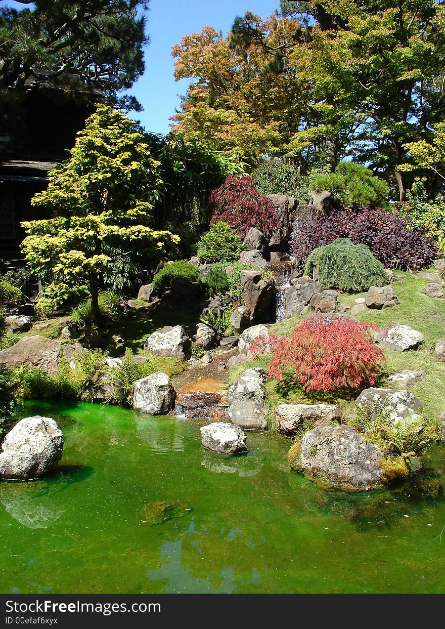 Japanese style garden in a park in San Francisco. Japanese style garden in a park in San Francisco