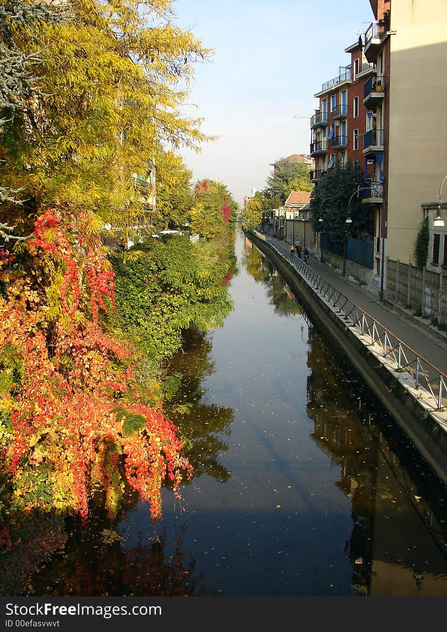 Trees with autumnal leaves along a water canal. Trees with autumnal leaves along a water canal