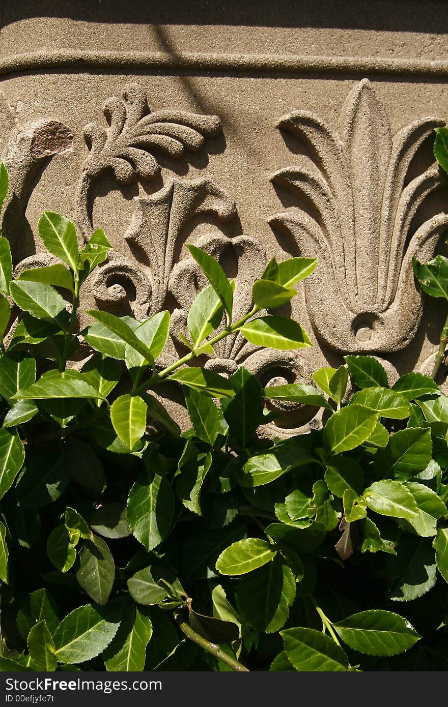 Sculpture on wall covered by leafs. Sculpture on wall covered by leafs