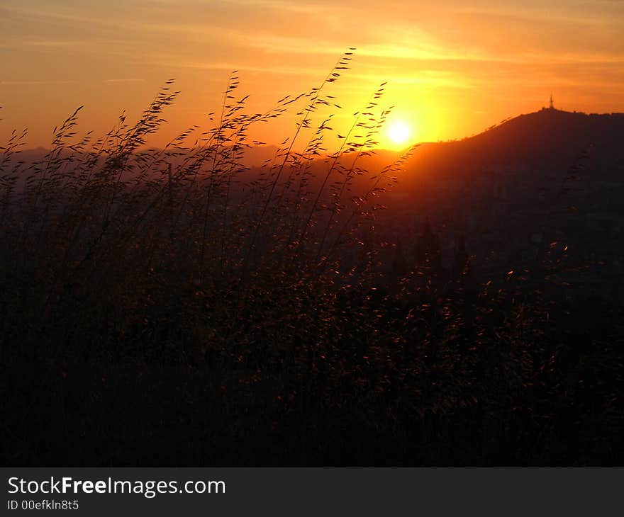 Sunset on some spikes near montjuic fortress in Barcelona. Sunset on some spikes near montjuic fortress in Barcelona