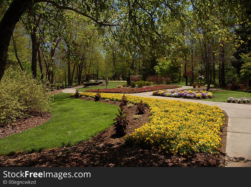 Dogwood tree and flowers in bloom in a public park setting. The photograph was shot during the springtime in North Carolina. Dogwood tree and flowers in bloom in a public park setting. The photograph was shot during the springtime in North Carolina.