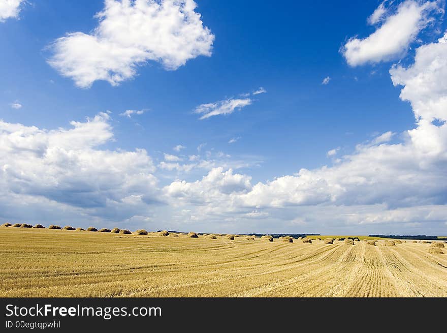 Cloud And Field