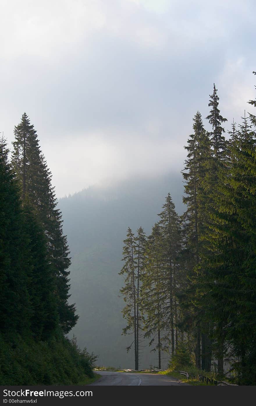 Mountain landscape in the summer, foggy morning. Mountain landscape in the summer, foggy morning