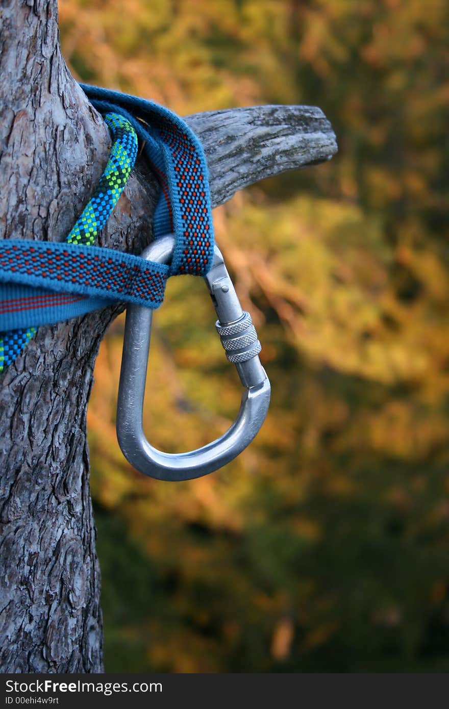 Climbing security hanging on tree