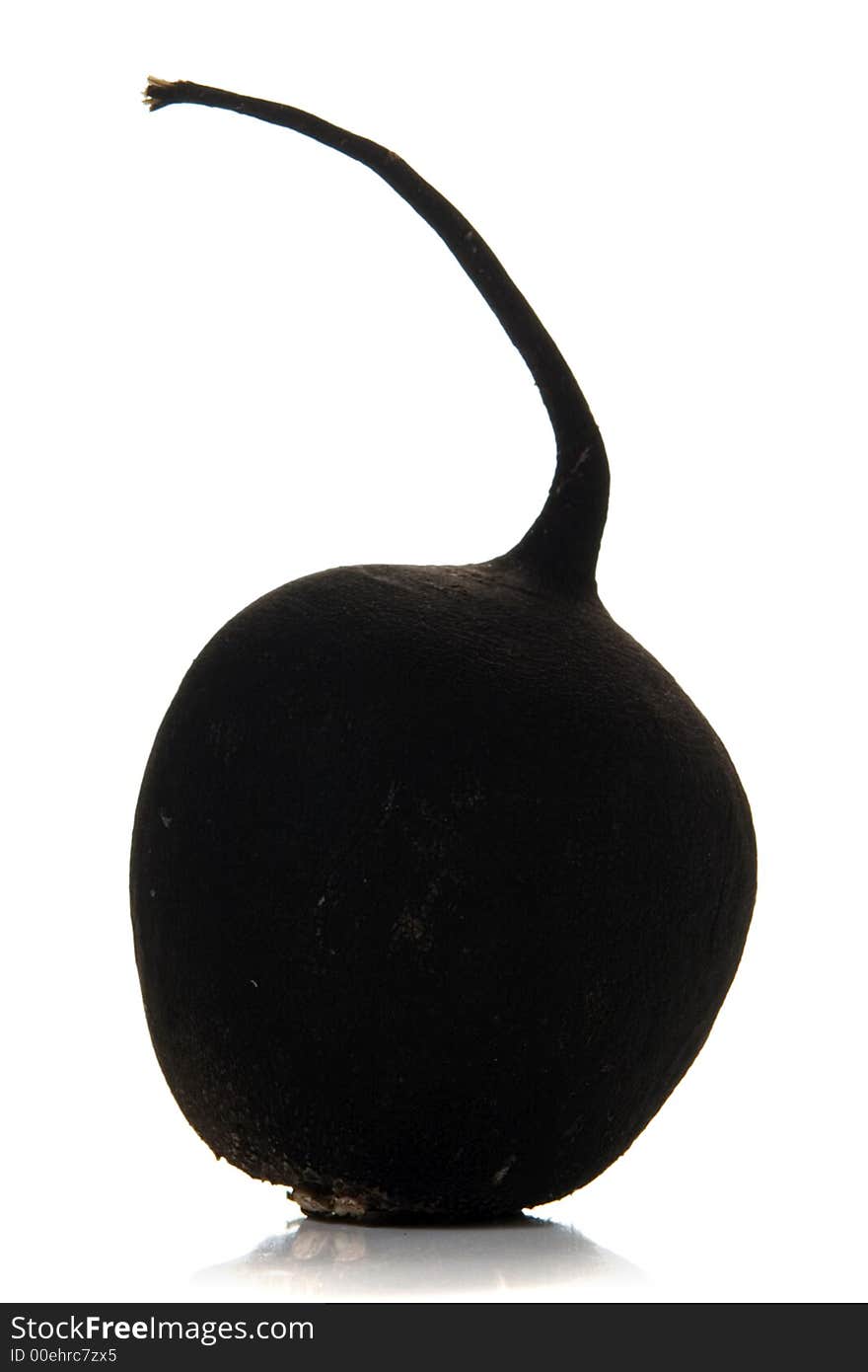 Black radish isolated over white background