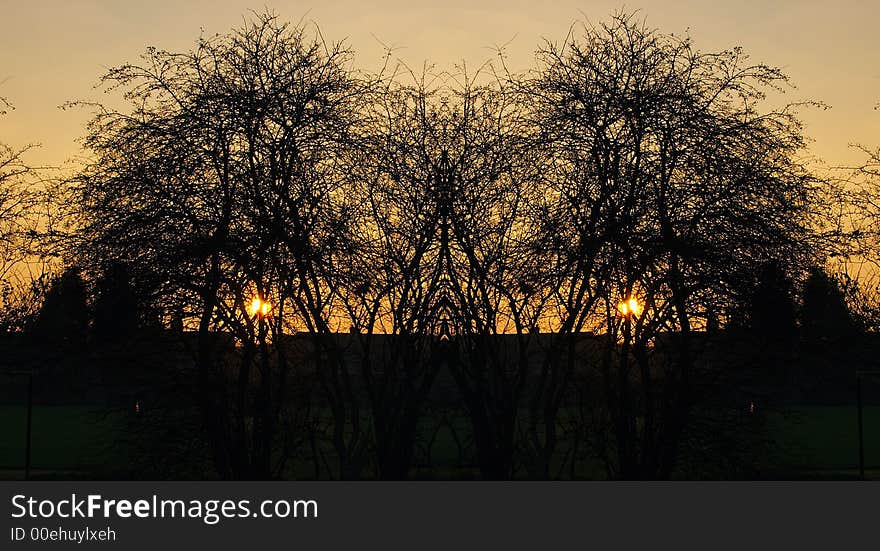 Twin sunset silhouette abstract of nature