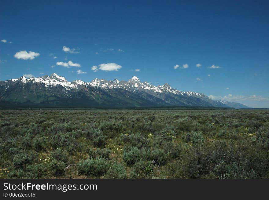 Spring Mountains