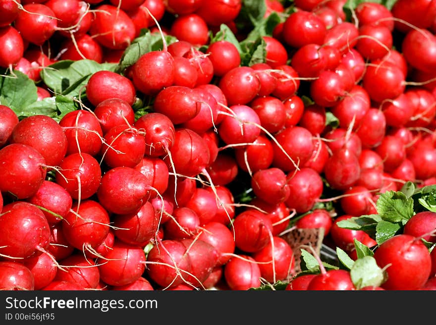 Red radish