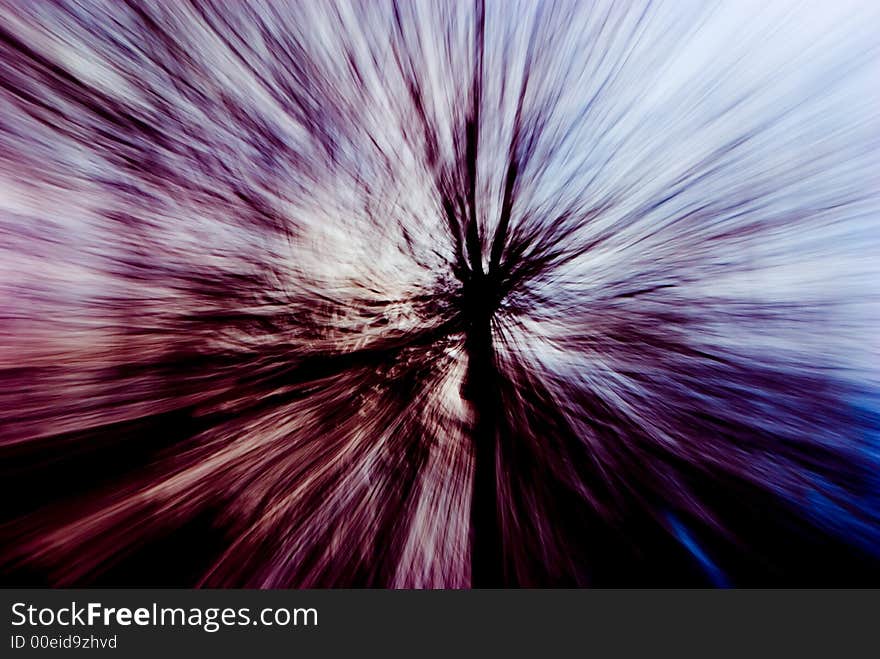 A picture of a tree taken with a slow shutter speed while changing the focal length of the lens.  Color effects added afterwards. A picture of a tree taken with a slow shutter speed while changing the focal length of the lens.  Color effects added afterwards.