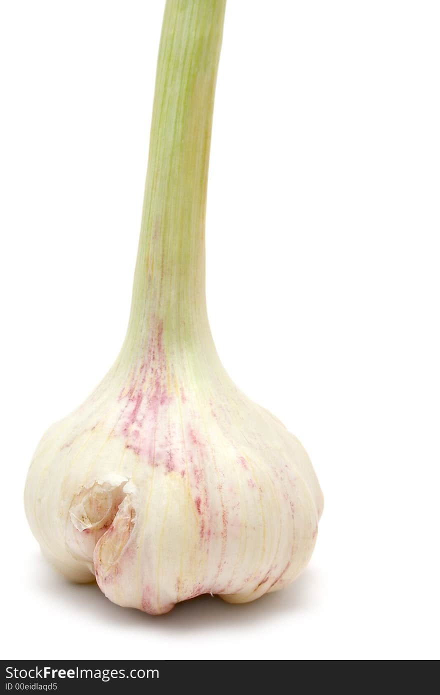 Standing Garlic Bulb