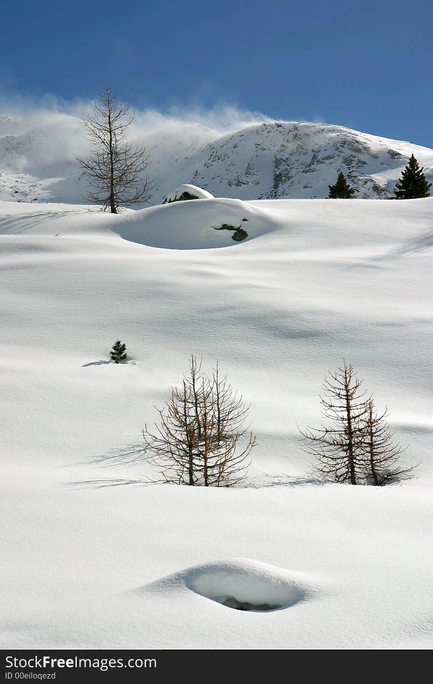 Winter snow scene with natural elements and windy alpine background. Winter snow scene with natural elements and windy alpine background.