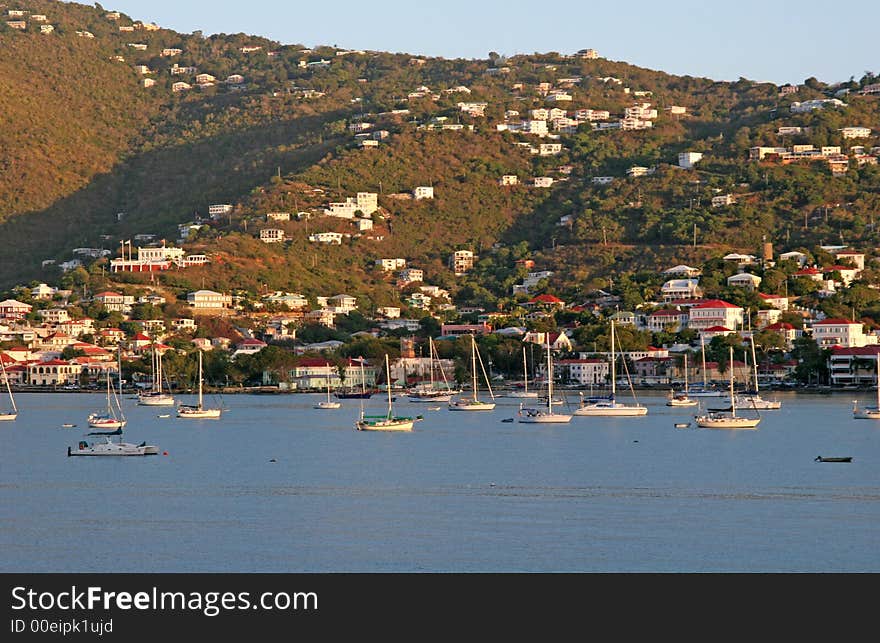 Yacht Basin at Dawn