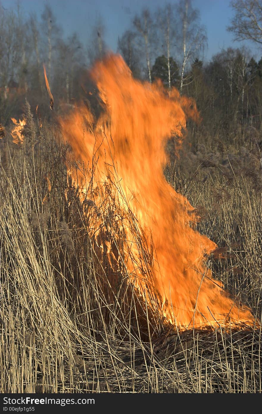 Bright flame. In the spring the dry old autumn grass burns.