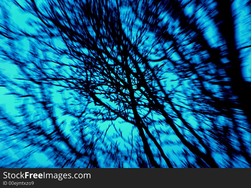 An abstract image of a tree created by using a slow shutter speed while changing the focal length of the lens. An abstract image of a tree created by using a slow shutter speed while changing the focal length of the lens.