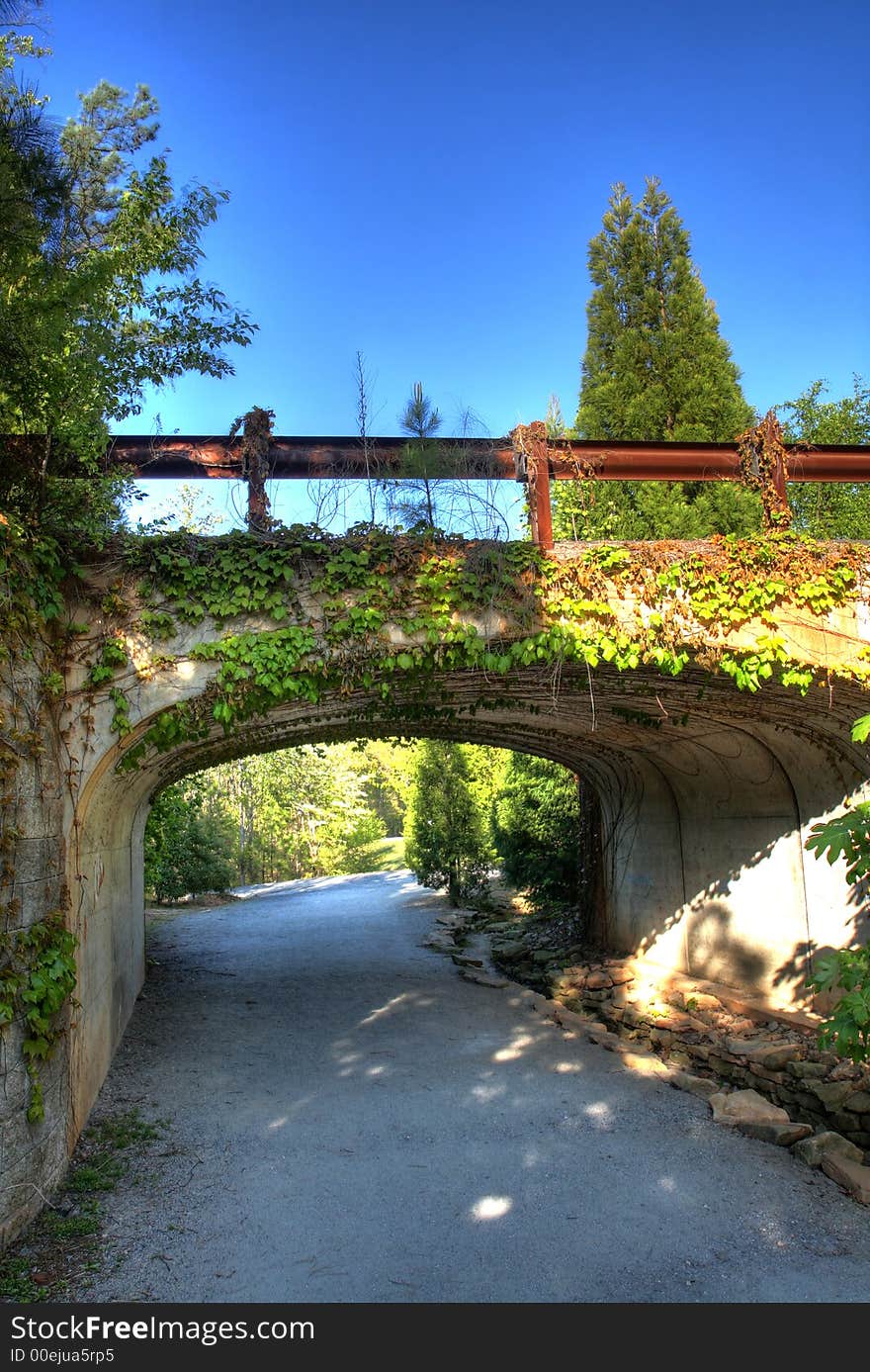 Beautiful Landscape In A Park