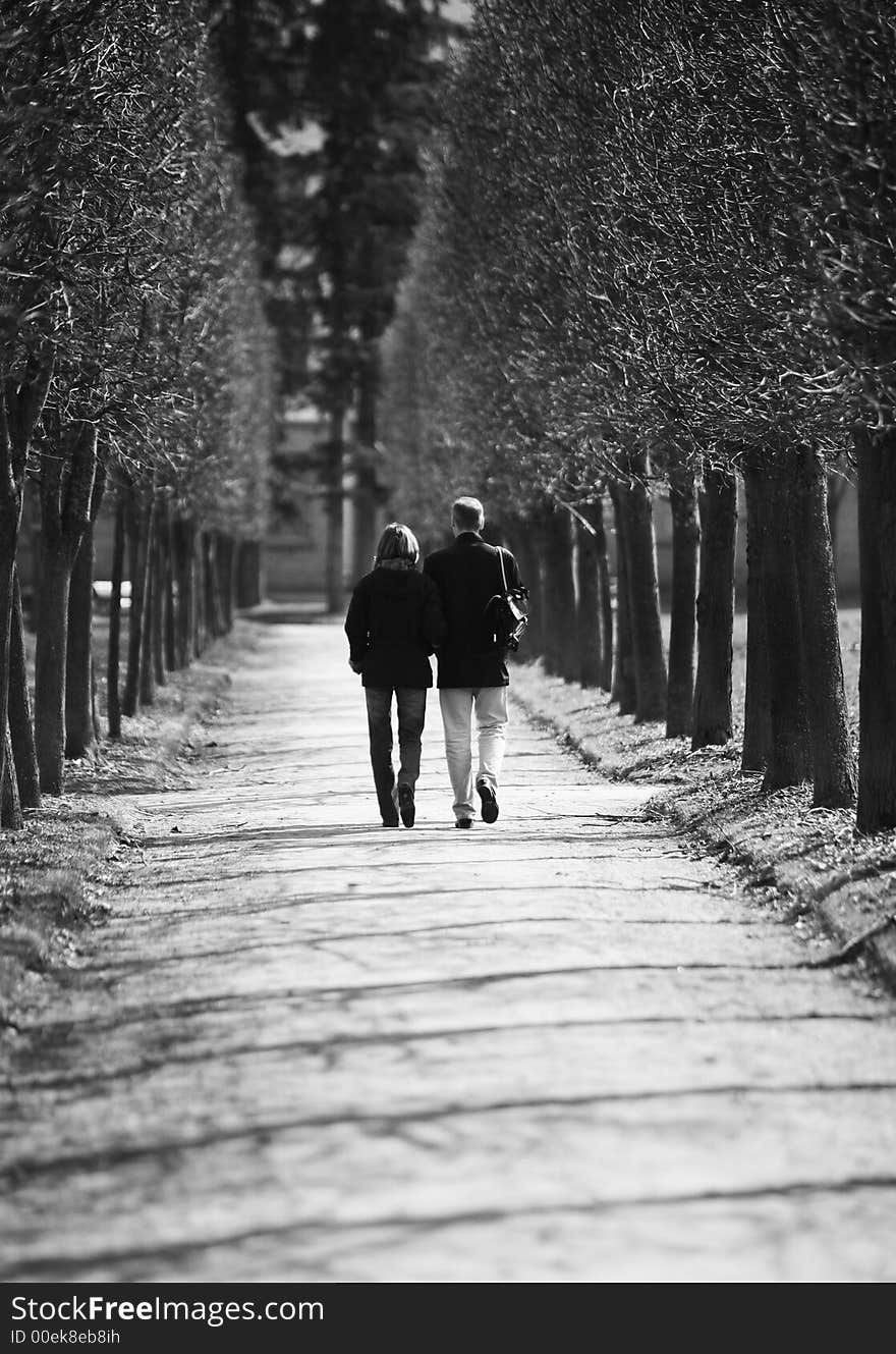 The man and the woman walk in park. The man and the woman walk in park